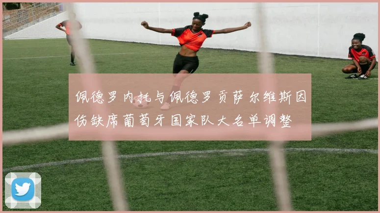 佩德罗内托与佩德罗贡萨尔维斯因伤缺席葡萄牙国家队大名单调整