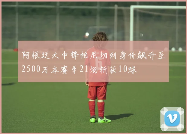 阿根廷大中锋帕尼切利身价飙升至2500万本赛季21场斩获10球
